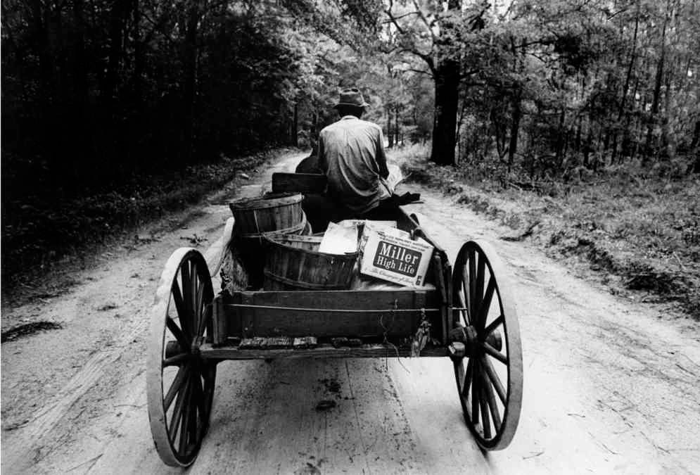 North Florida and Western Kentucky